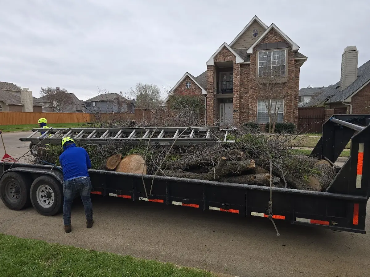Expert Tree Pest Control with proper safety equipment in West Chesterfield